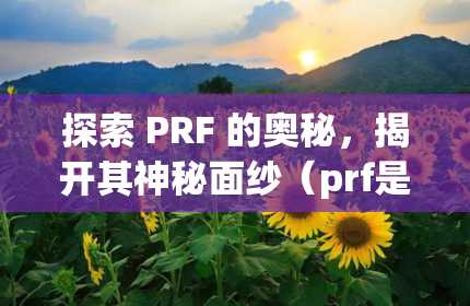 探索 PRF 的奥秘，揭开其神秘面纱（prf是什么缩写）