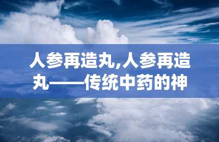 人参再造丸,人参再造丸——传统中药的神奇功效与使用指南