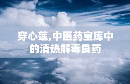 穿心莲,中医药宝库中的清热解毒良药