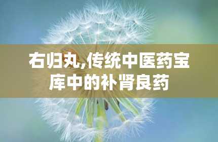 右归丸,传统中医药宝库中的补肾良药