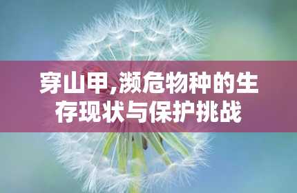 穿山甲,濒危物种的生存现状与保护挑战