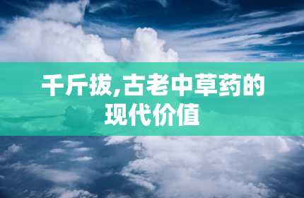 千斤拔,古老中草药的现代价值