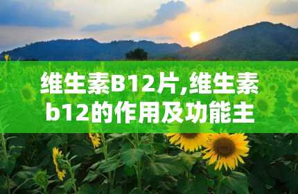 维生素B12片,维生素b12的作用及功能主治是什么