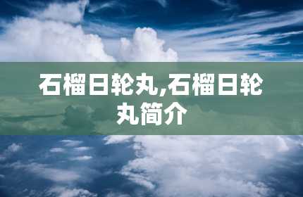 石榴日轮丸,石榴日轮丸简介