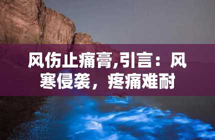 风伤止痛膏,引言：风寒侵袭，疼痛难耐