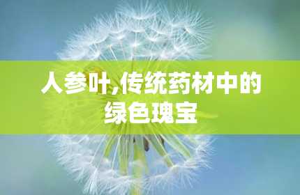 人参叶,传统药材中的绿色瑰宝