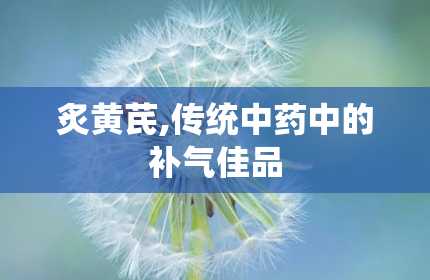 炙黄芪,传统中药中的补气佳品