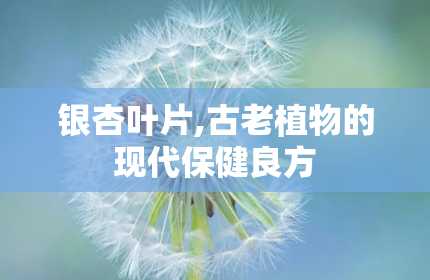 银杏叶片,古老植物的现代保健良方