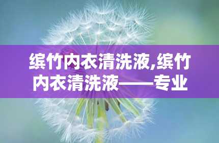 缤竹内衣清洗液,缤竹内衣清洗液——专业呵护，洁净如新