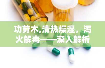 功劳木,清热燥湿，泻火解毒——深入解析功劳木的药用价值