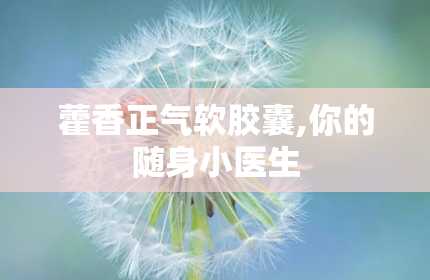 藿香正气软胶囊,你的随身小医生