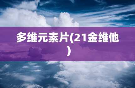 多维元素片(21金维他）