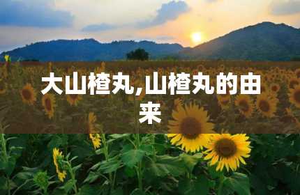 大山楂丸,山楂丸的由来