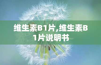 维生素B1片,维生素B1片说明书