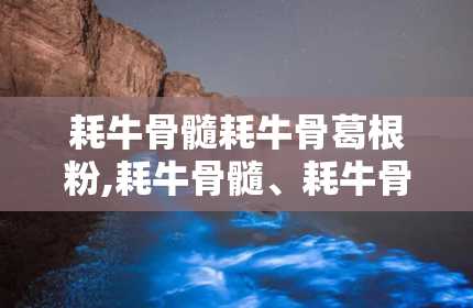 耗牛骨髓耗牛骨葛根粉,耗牛骨髓、耗牛骨与葛根粉的完美融合