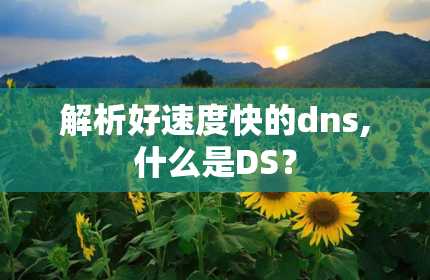 解析好速度快的dns,什么是DS？