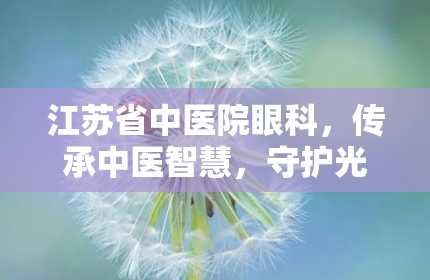 江苏省中医院眼科，传承中医智慧，守护光明视界（江苏省中医院眼科专家排名）